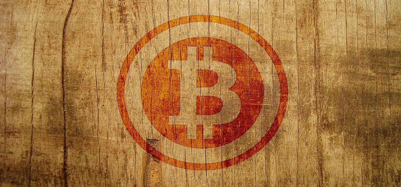 bitcoin btc cryptography free photo