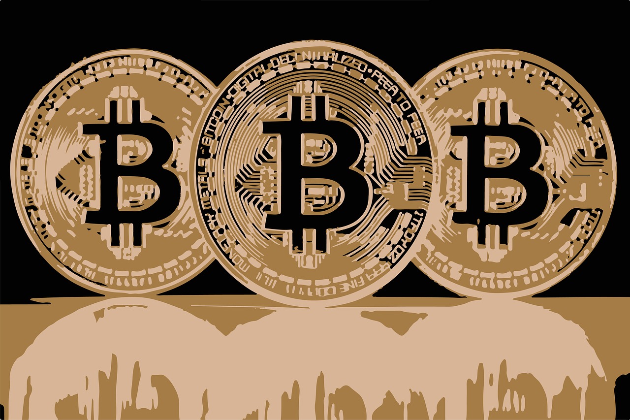 bitcoin cryptocurrency the internet currency free photo