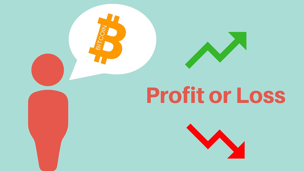 bitcoin profit loss free photo