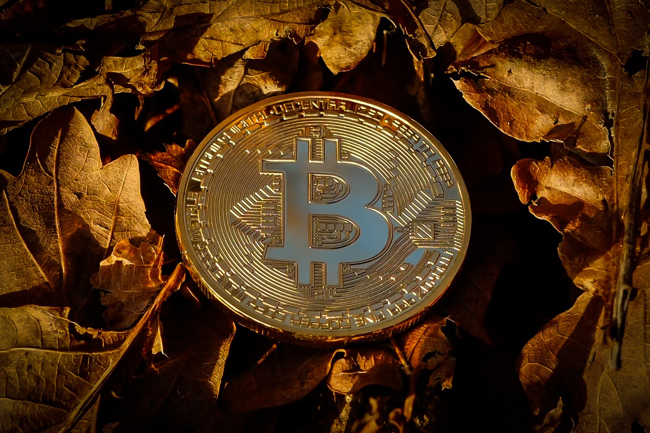 bitcoin  currency  finance free photo