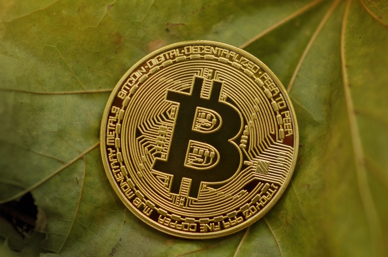 bitcoin  cryptocurrency  coins free photo