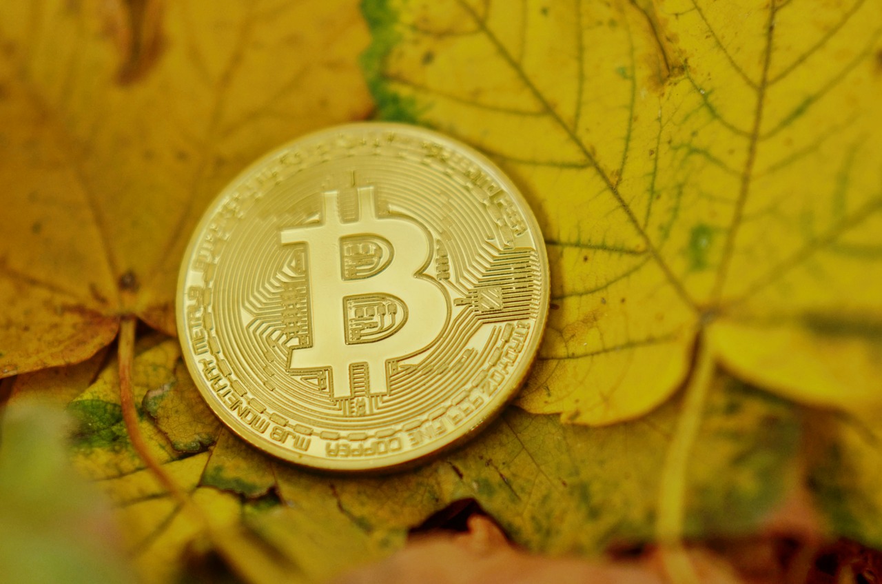 bitcoin  cryptocurrency  coins free photo