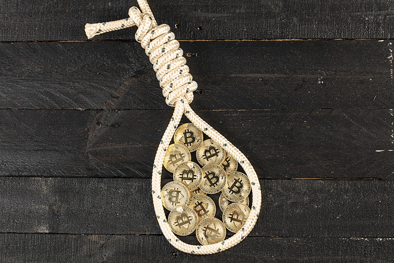 bitcoin  hang  currency free photo