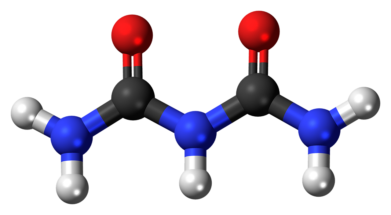 biuret molecule model free photo