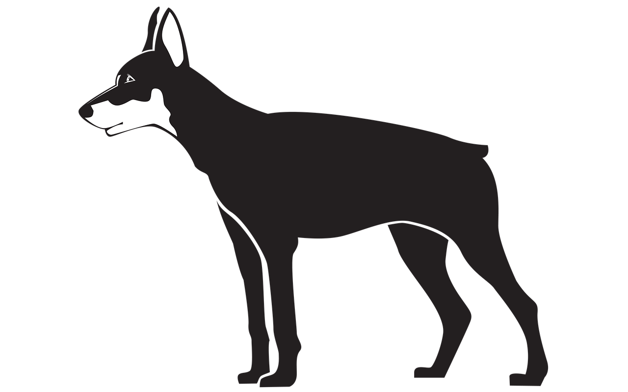 black dog illustration free photo