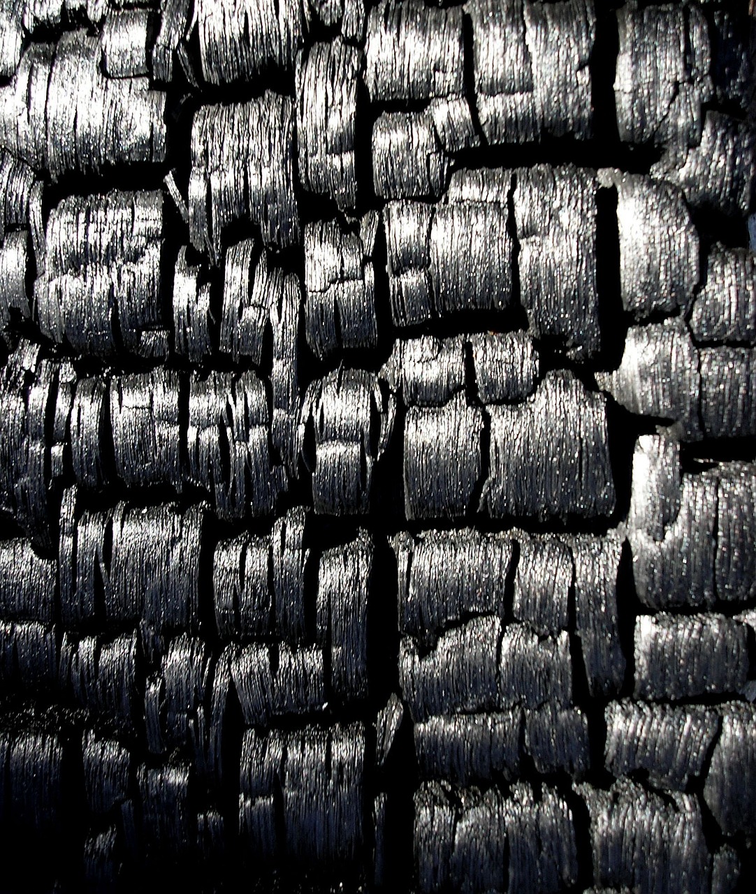 black charcoal burnt free photo