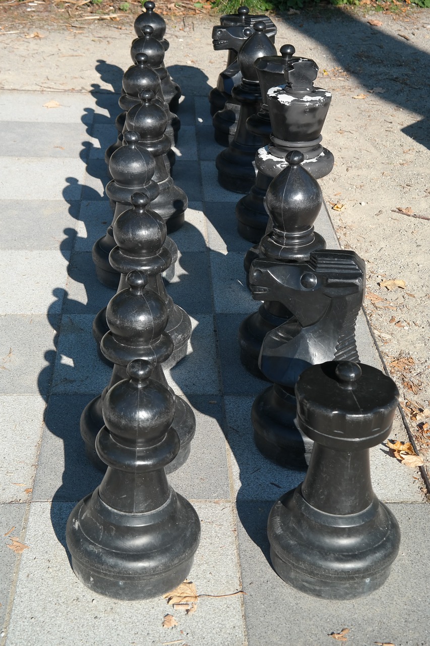 black chess chess board free photo