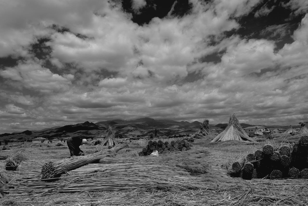 black white cloud free photo