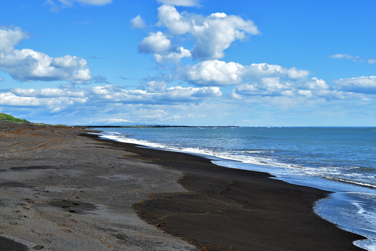 black beach ocean free photo