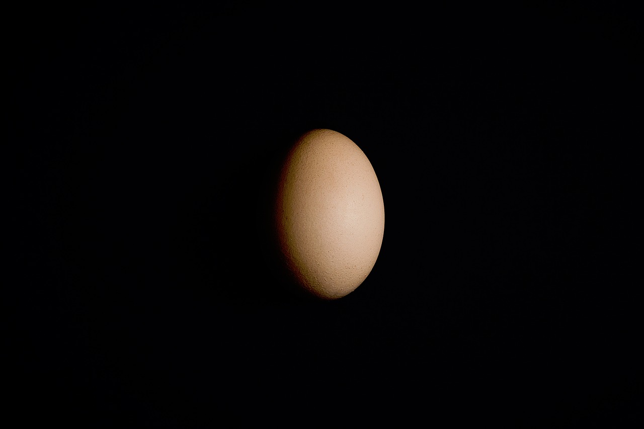 black shadow egg free photo