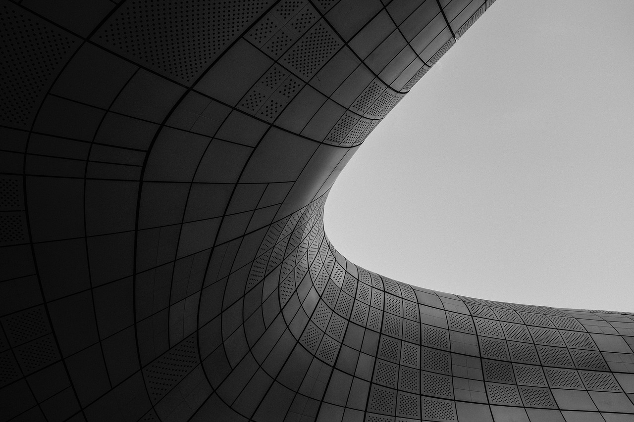 black curves lines free photo