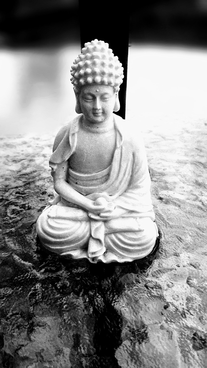 black white buddha free photo