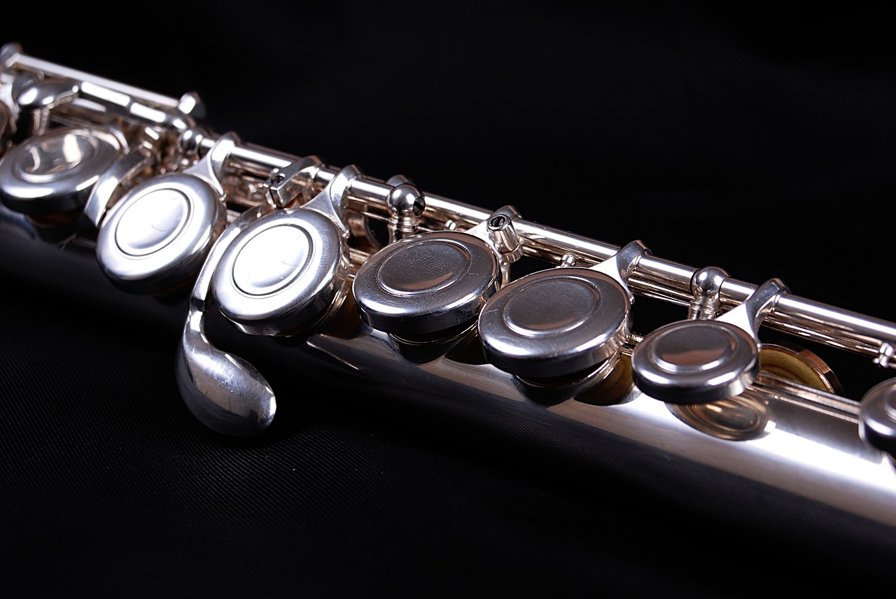black shiny flute free photo