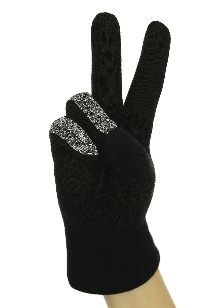 black two glove free photo