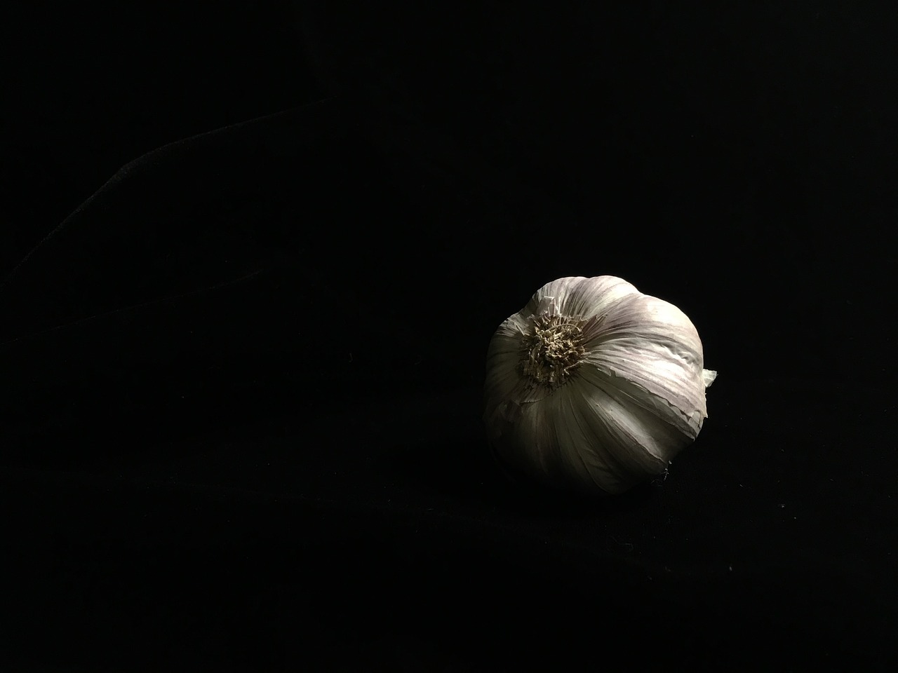 black low key garlic free photo