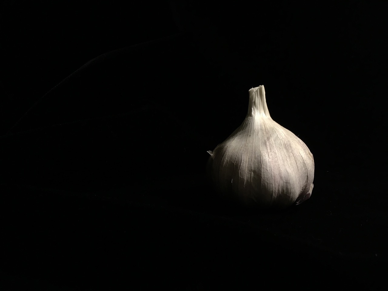black low key garlic free photo