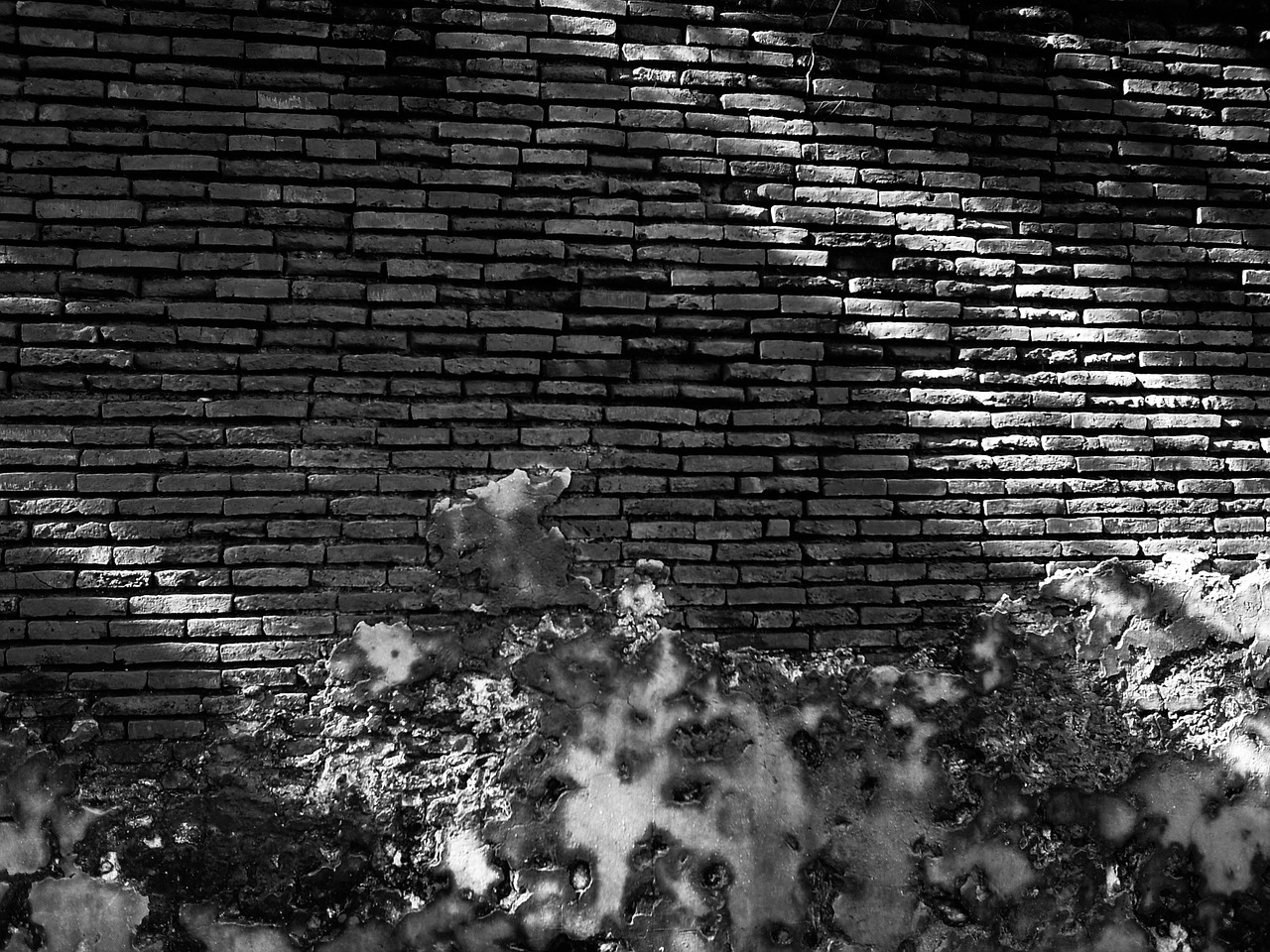 black wall shadow free photo