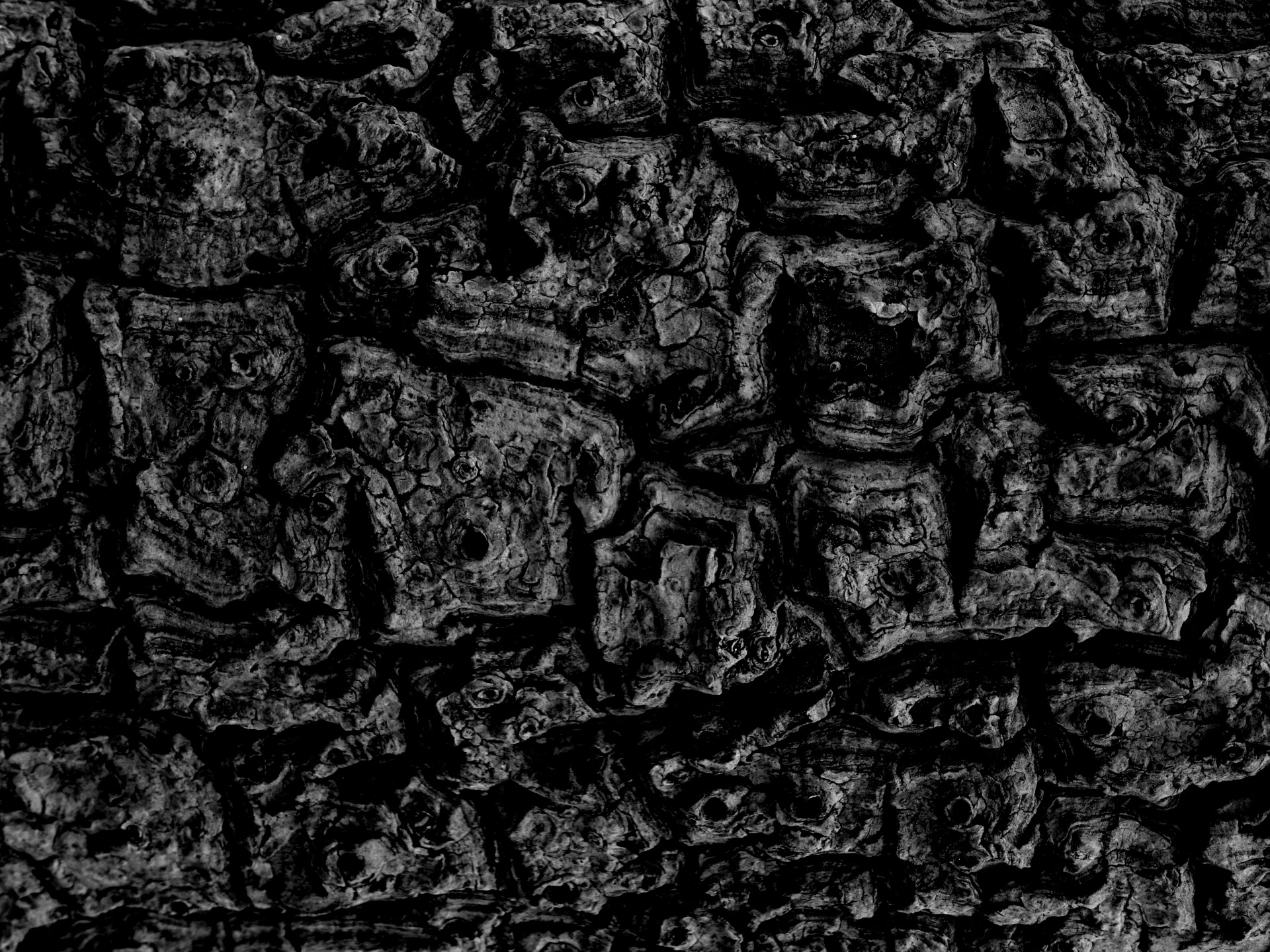 black dark background free photo