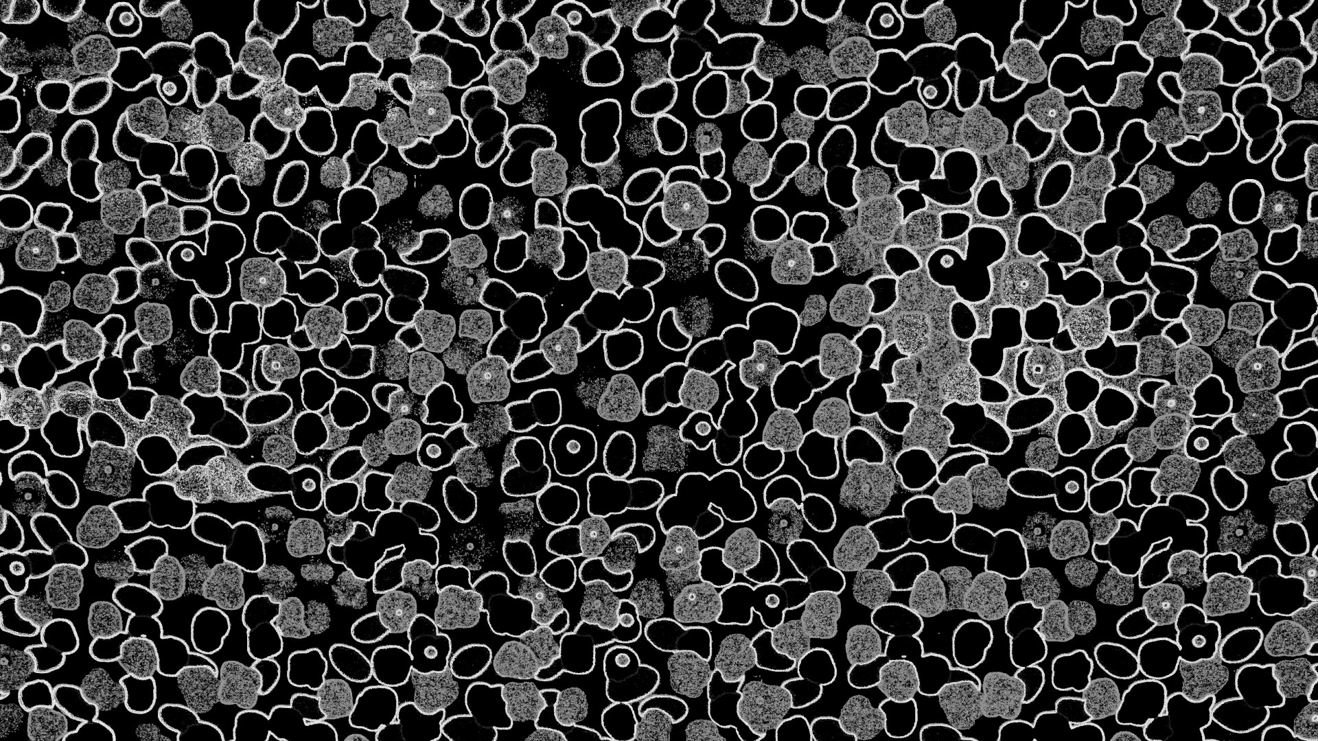 black abstract circles wallpaper black design free photo