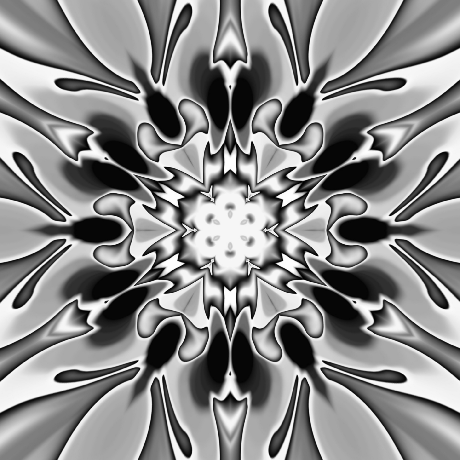 wallpaper black kaleidoscope free photo