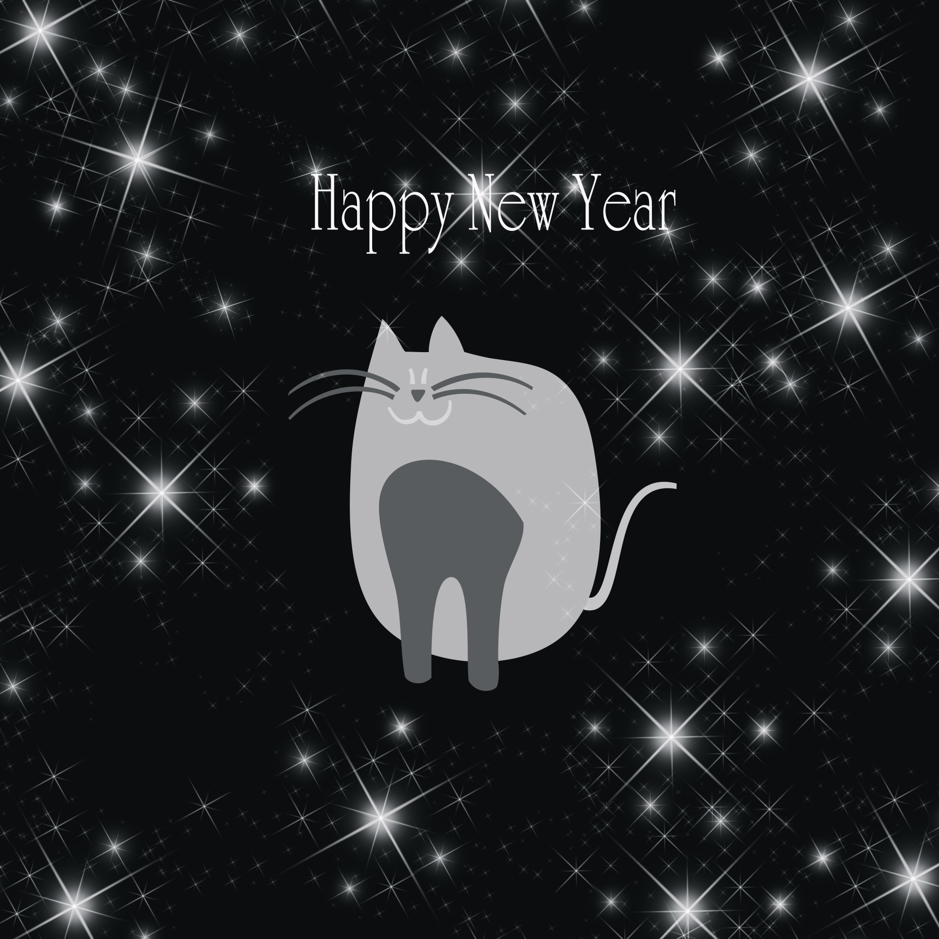 happy new year new years cat free photo