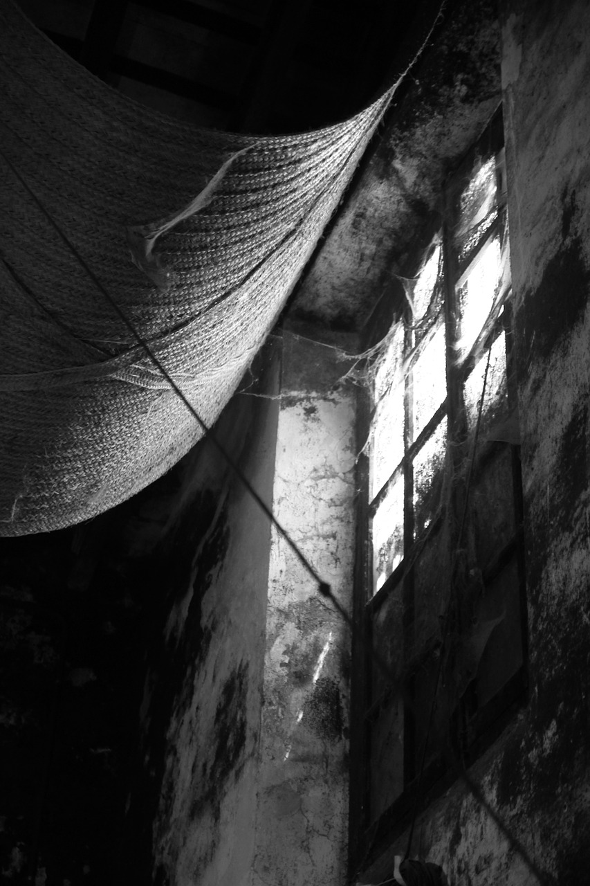 black and white window old free photo