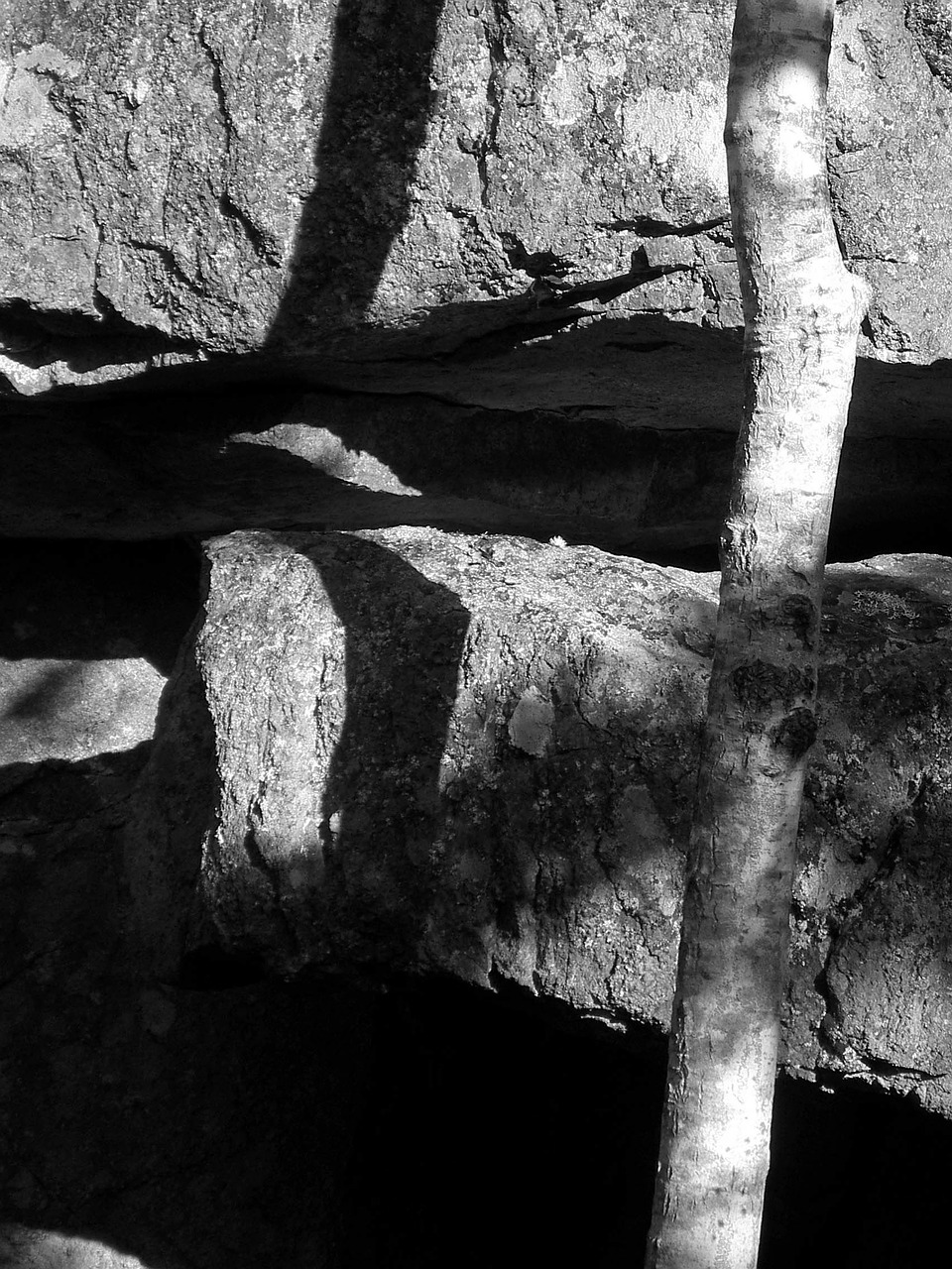 black and white monochrome shadow free photo