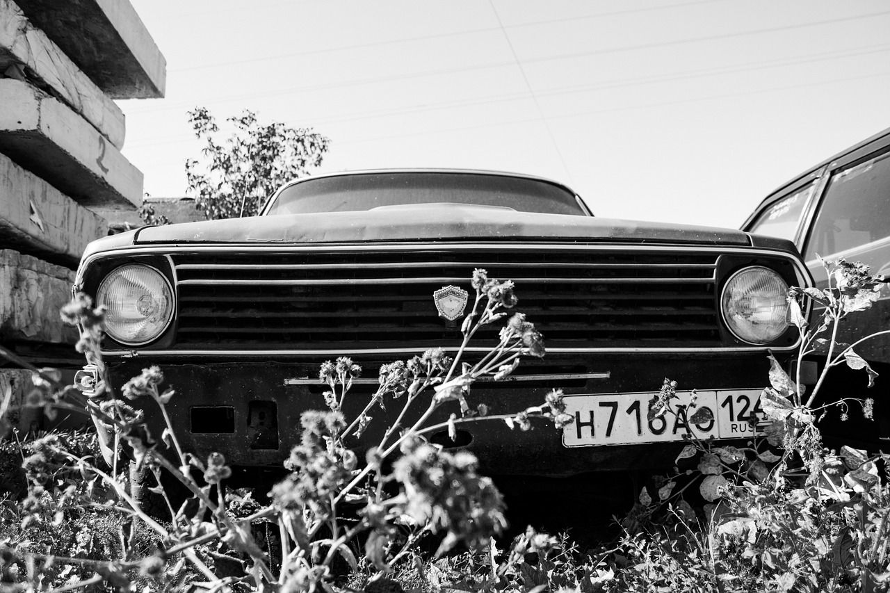 black and white auto car free photo