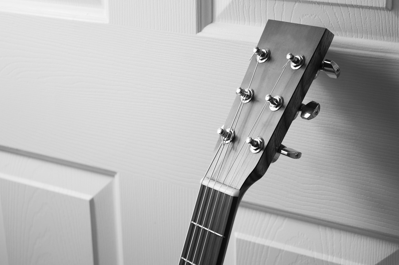 black and white music musical instrument free photo