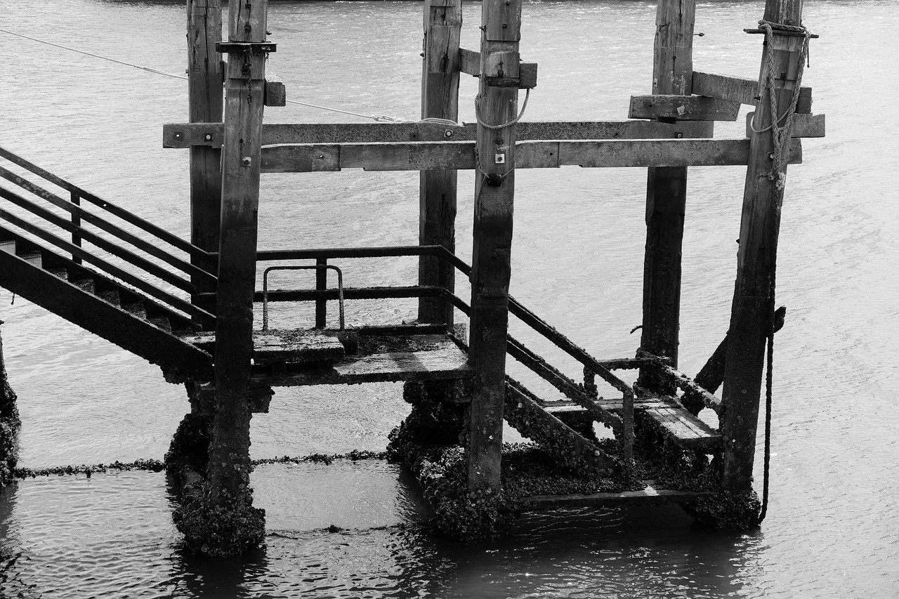 black and white sea staircase free photo