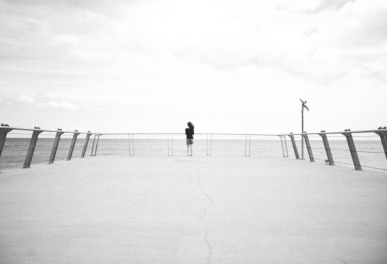 black and white beach pier free photo