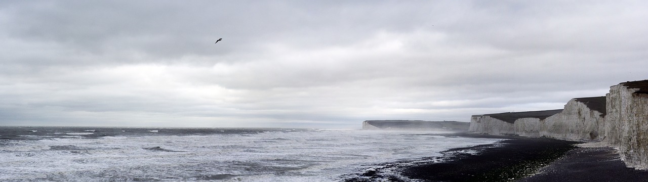 black and white beach sea free photo