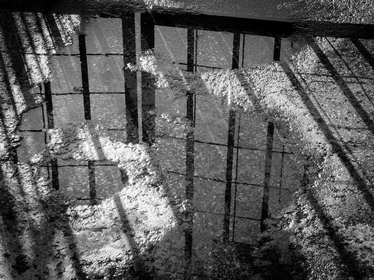 black and white reflection spooky free photo