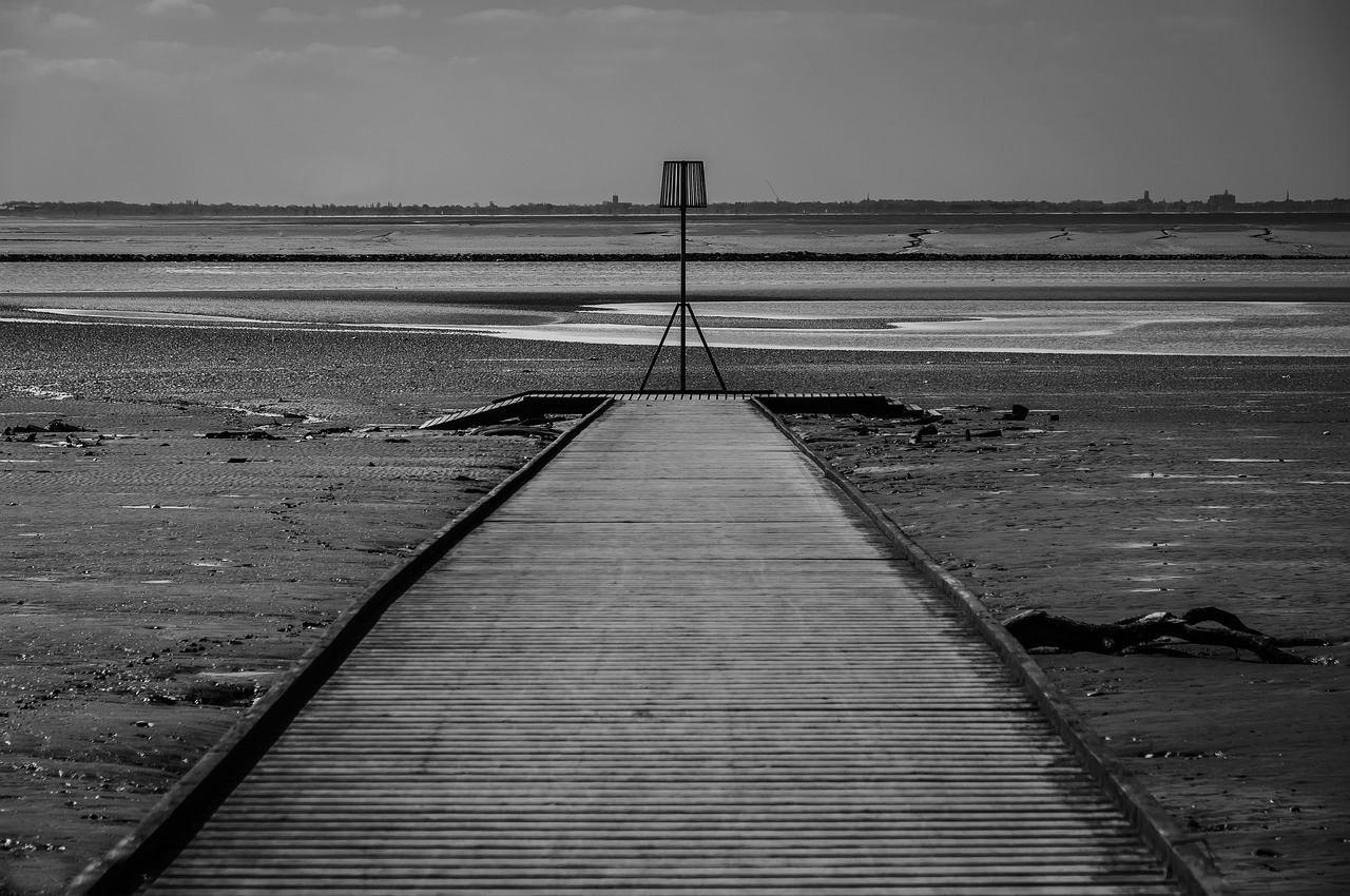 black and white estuary river free photo