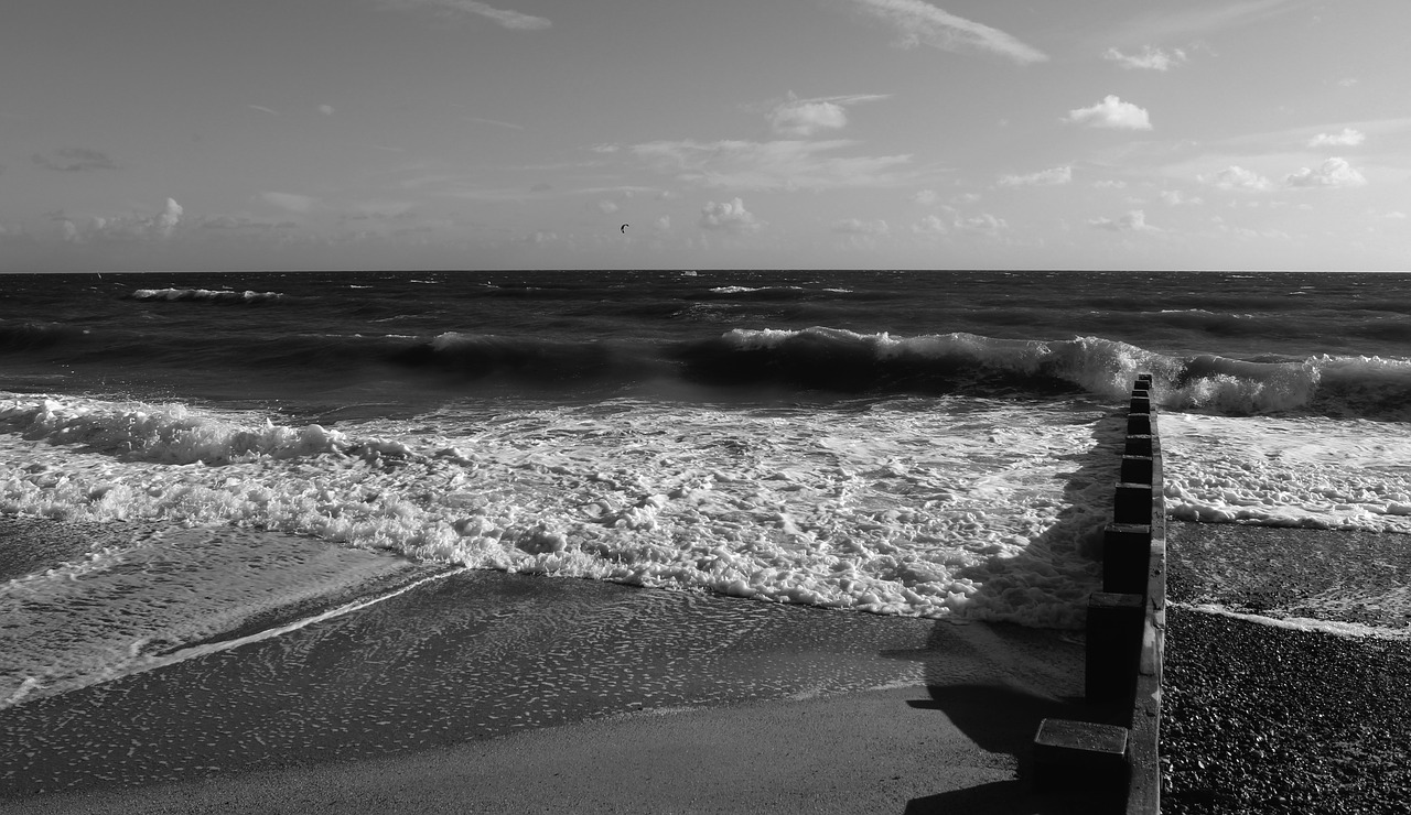 black and white sea ocean free photo