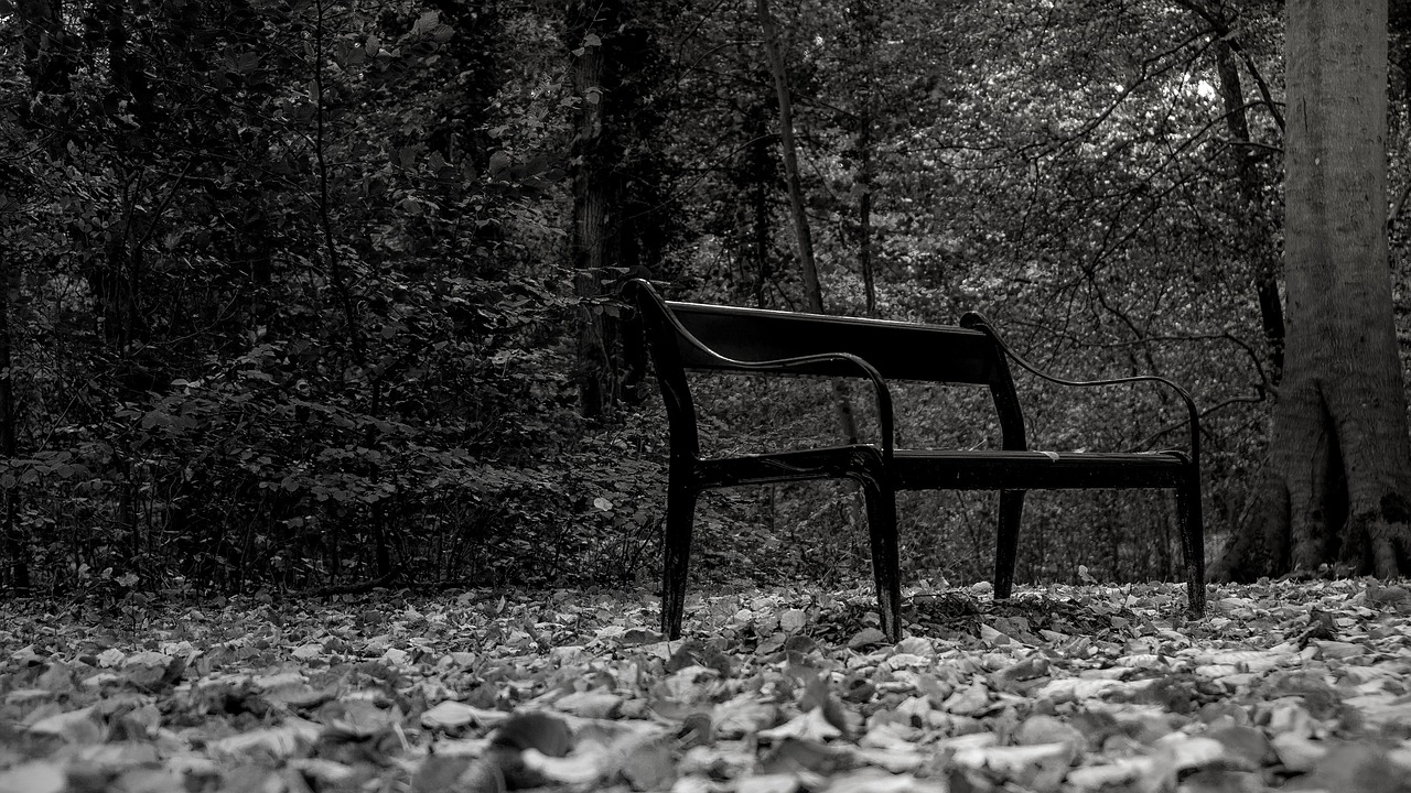 black and white park bench park free photo