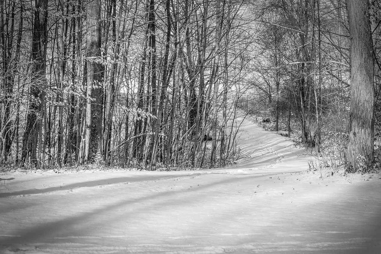 black and white trail snow free photo