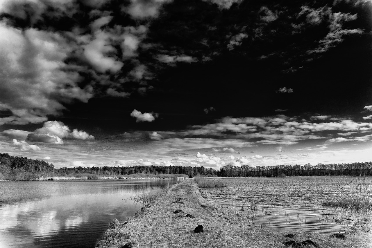 black and white sky clouds free photo