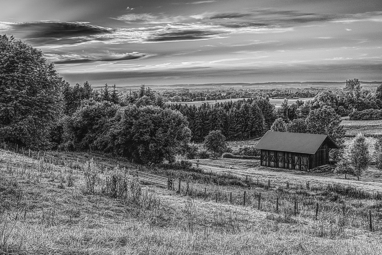 black and white rural hut free photo