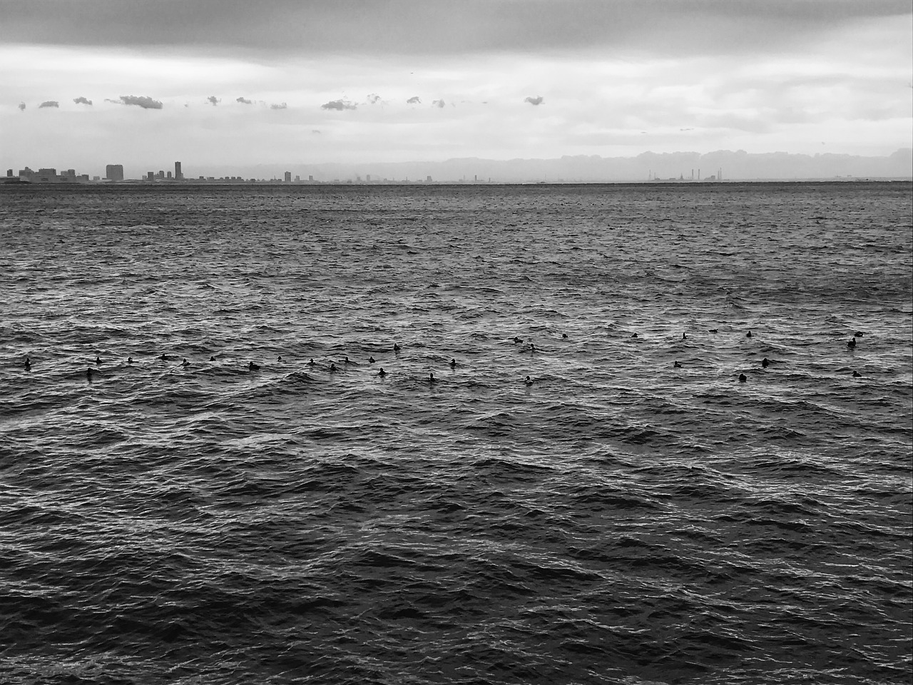 black and white black sea free photo