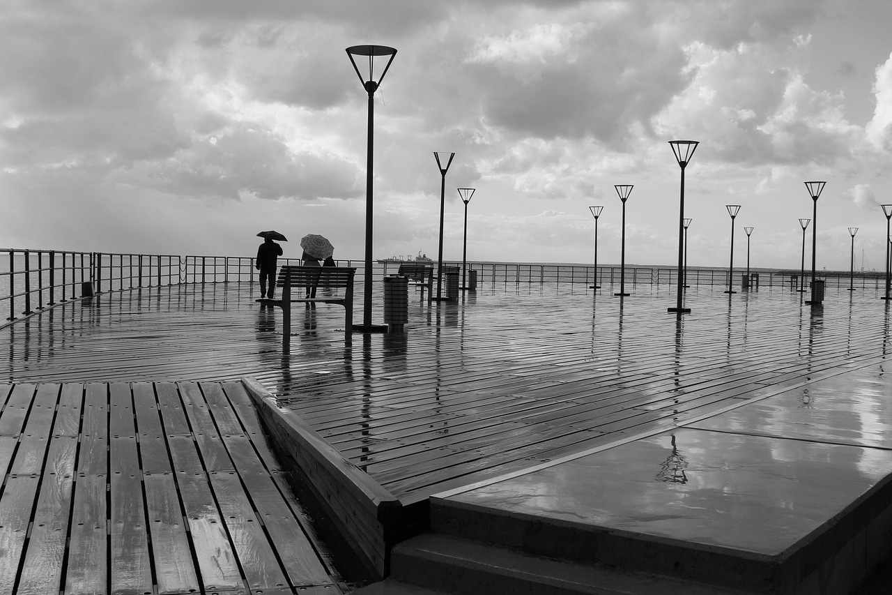 black and white boardwalk seashoe free photo