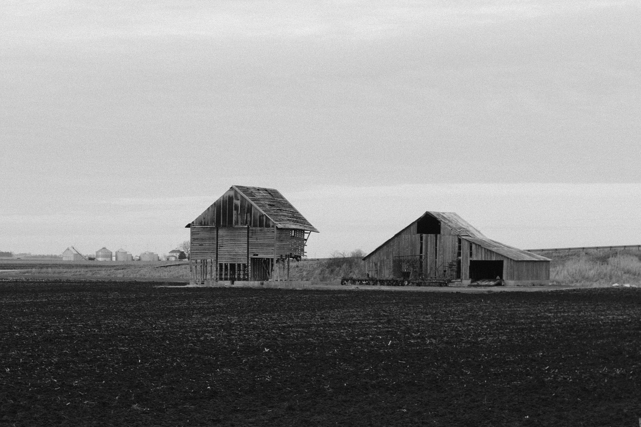 black and white hut house free photo