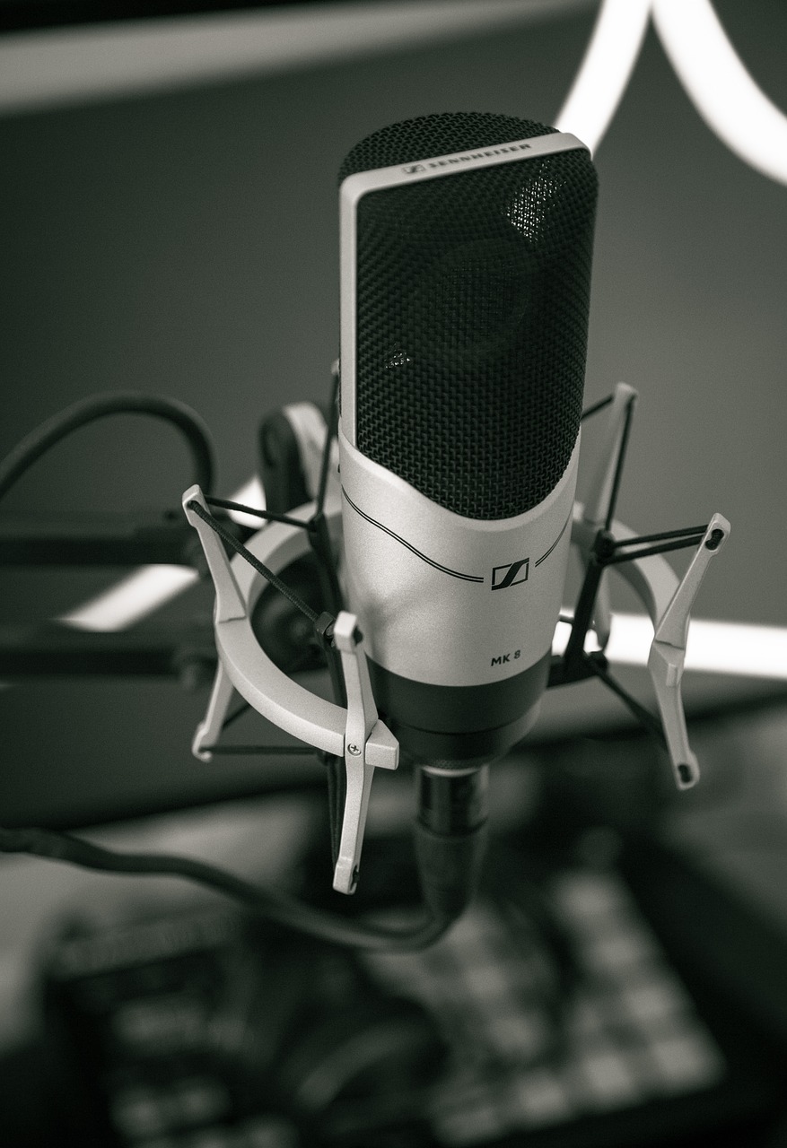 black and white microphone filter free photo