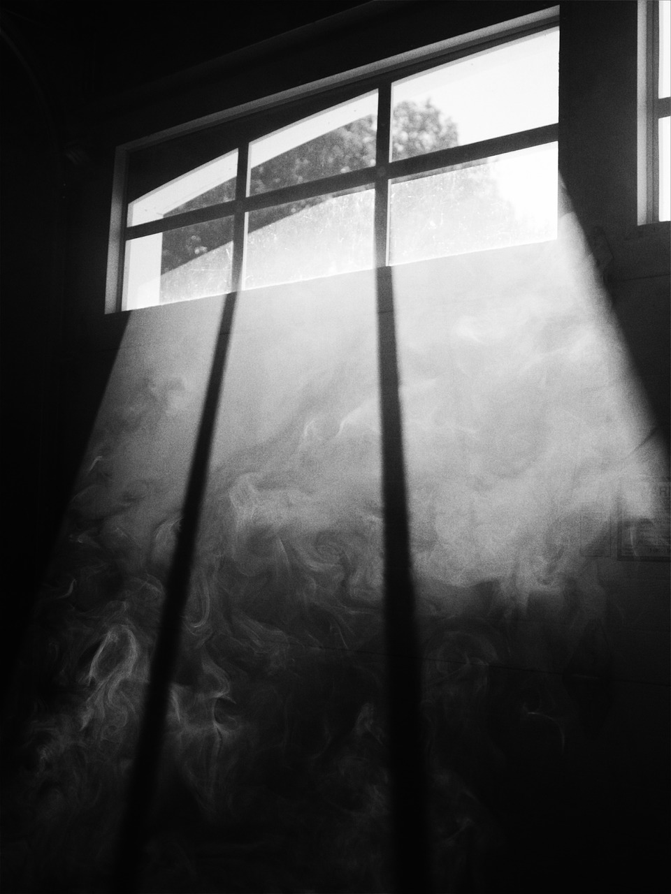 black and white smoke sunlight free photo