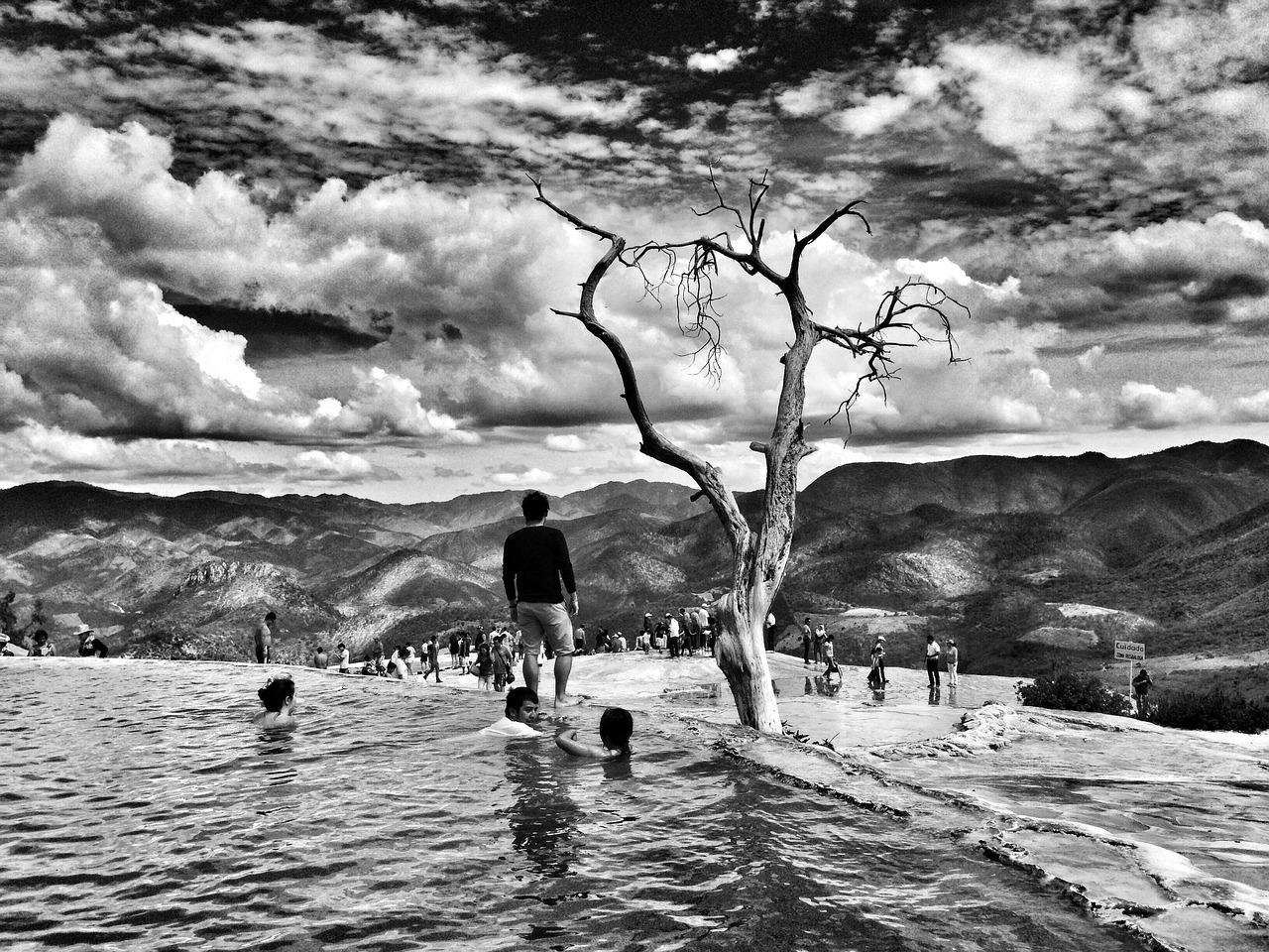 black and white swimming pool free photo