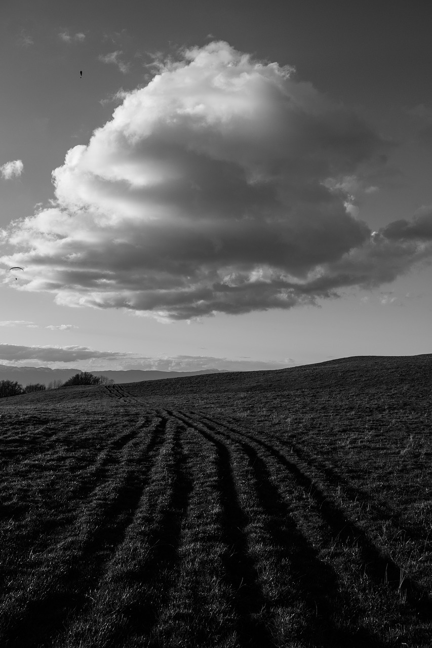 black and white field farm free photo