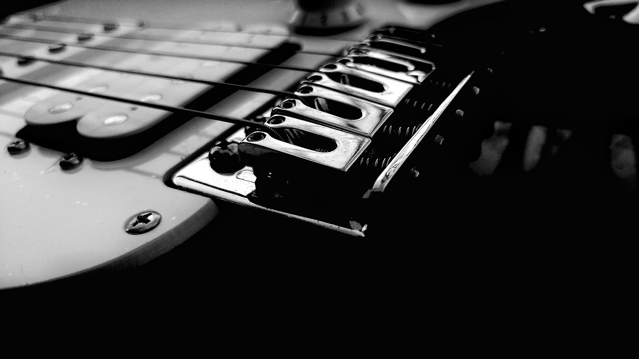 black and white guitar string free photo