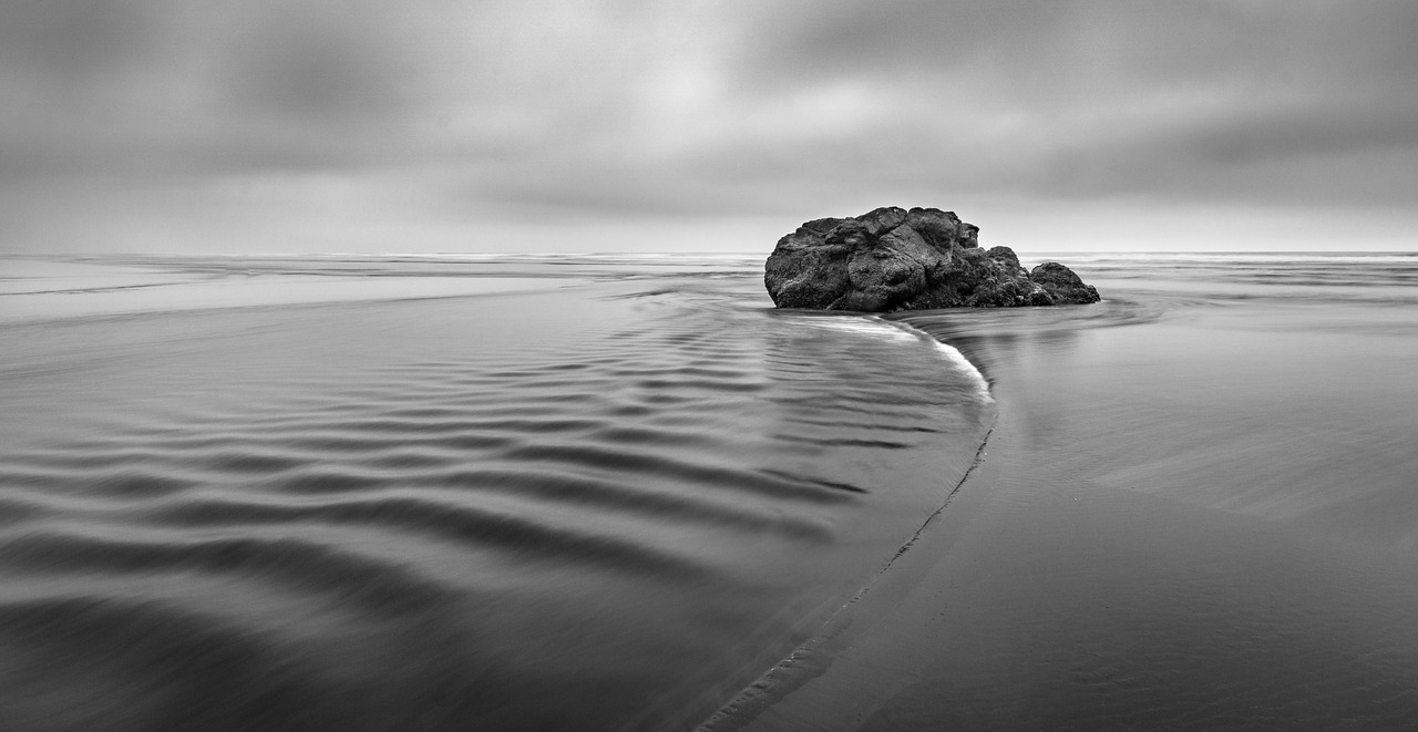 black and white rock sea free photo