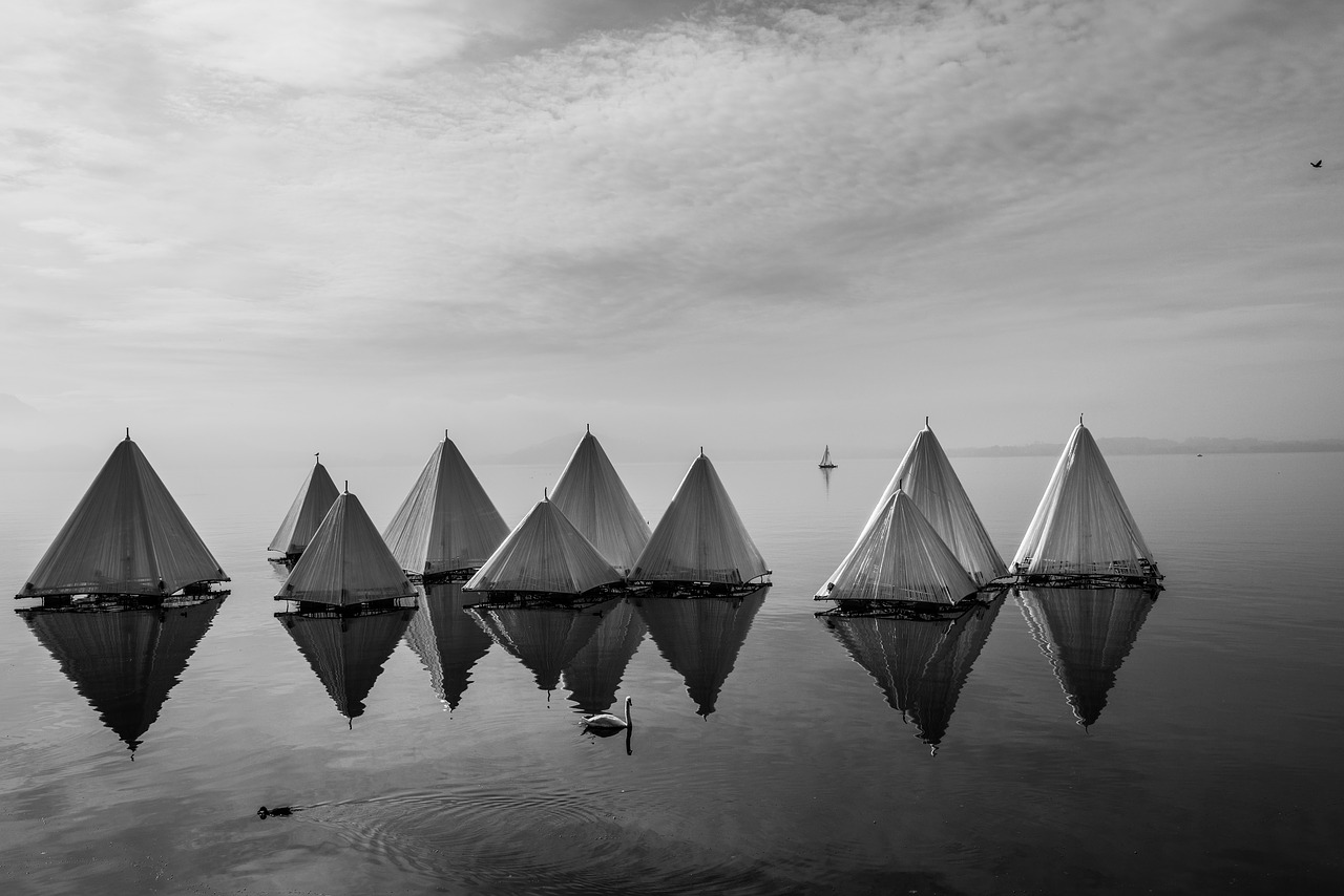 black and white cottage reflection free photo