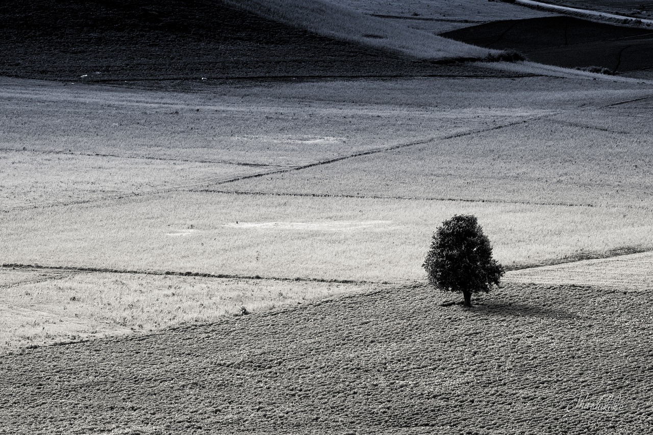 black and white myanmar shanstate free photo